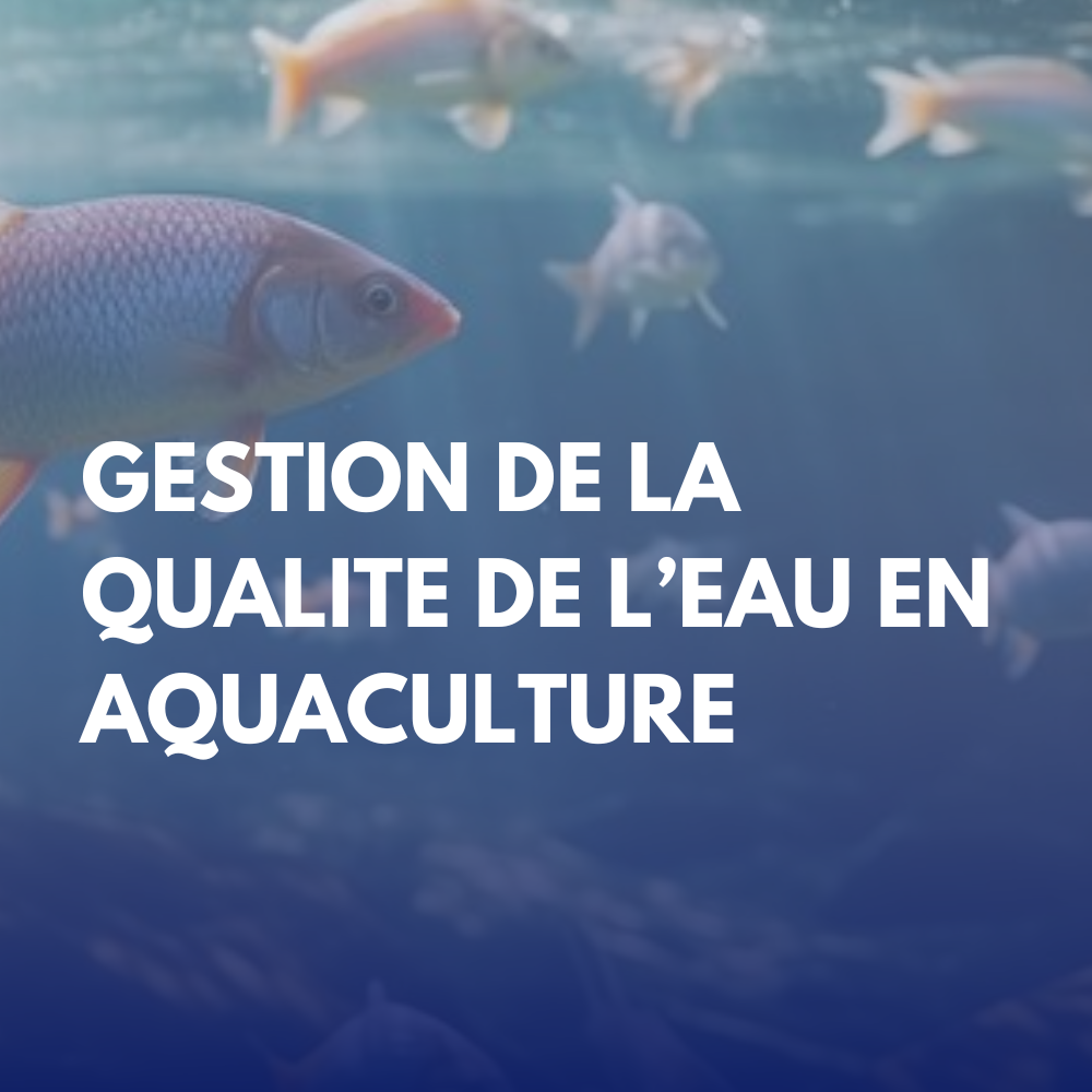 Qualité de l’Eau dans la Culture Aquacole